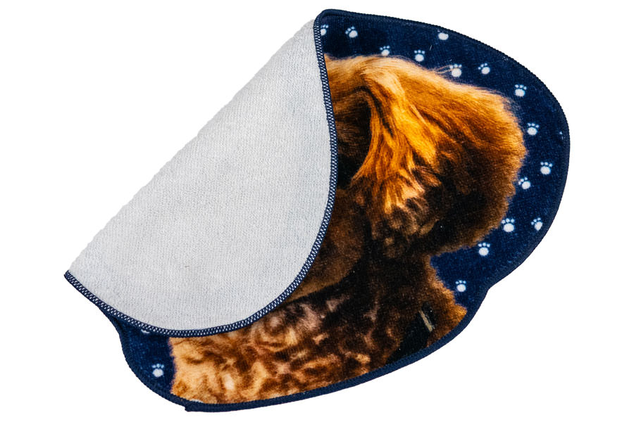 全面フルカラープリント